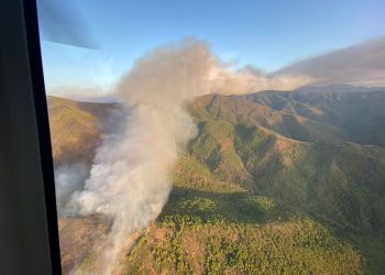 Más País pedirá la declaración de zona catastrófica y que Sierra Bermeja se incluya dentro del Parque Nacional Sierra de las Nieves