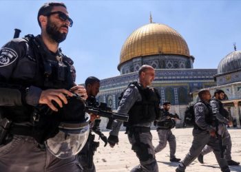 Palestina exige medidas efectivas a Naciones Unidas ante la ocupación de tierras y las violaciones de ddhh de Israel