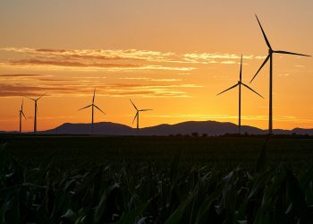 Verdes-EQUO Galicia considera que a enerxía eólica «debe ser compatible coa protección da biodiversidade e do territorio»
