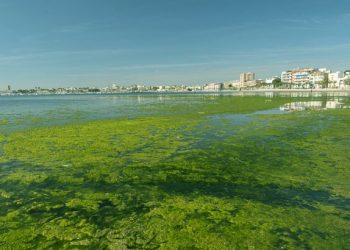 Parlamento Europeo envía una misión de investigación al Mar Menor