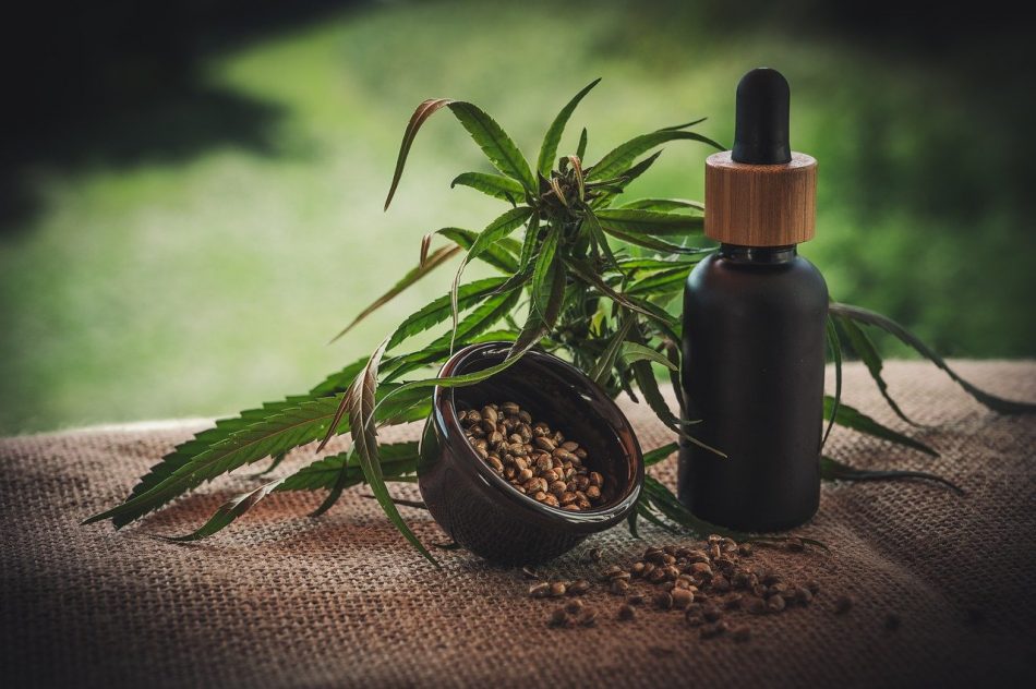 Tratando trastornos alimenticios con CBD