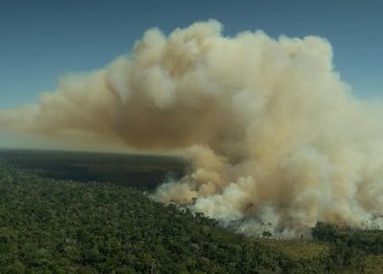 Greenpeace denuncia que el Banco Santander sigue financiando la deforestación de la Amazonia