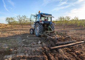 9 de septiembre. Día de la agricultura. Trabajando hacia una agricultura a favor del medio ambiente