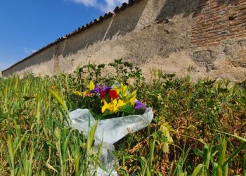 El Consejo Asesor de la Memoria Democrática de Castilla-La Mancha deberá constituirse en febrero de 2022