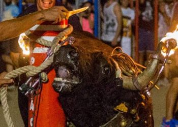 La plataforma antitaurina de Alfafar pide al alcalde valentía para prohibir los toros