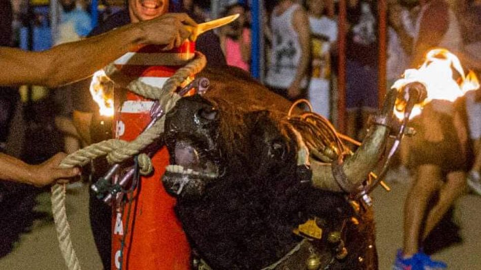 La plataforma antitaurina de Alfafar pide al alcalde valentía para prohibir los toros