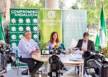 Más País Andalucía apuesta por un espacio político verde, abierto a otros sujetos y “netamente andaluz que trabaje por la dignidad social de los andaluces”