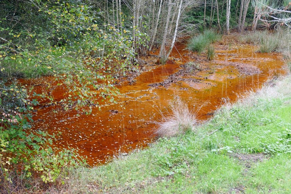 La Diputación coruñesa aprueba la moción de Marea Atlántica a favor de la restauración del desastre ambiental provocado por la mina de Touro y contra la reapertura de la explotación