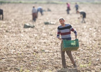 Más País eleva al Congreso su preocupación por la “neoesclavitud” sufrida en los campos andaluces