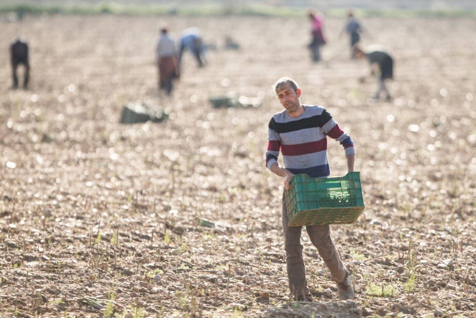 Más País eleva al Congreso su preocupación por la “neoesclavitud” sufrida en los campos andaluces