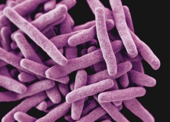 Las muertes por tuberculosis aumentan por primera vez en más de una década por la covid