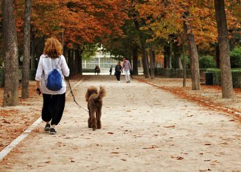 Las personas de barrios más humildes de Madrid realizan menos actividad física en los parques