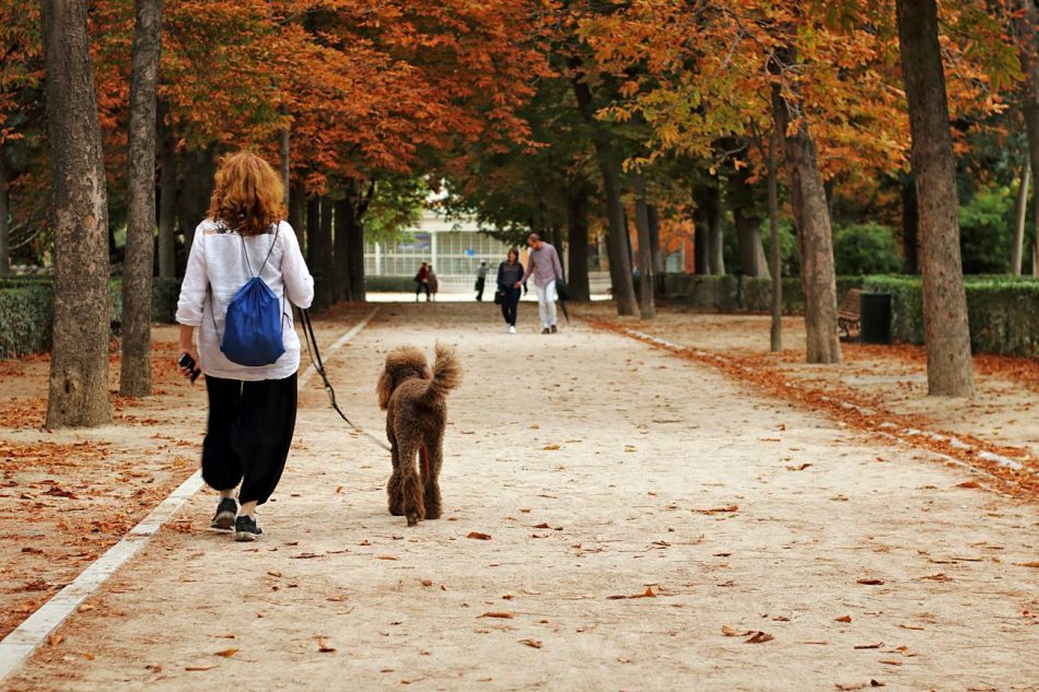 Las personas de barrios más humildes de Madrid realizan menos actividad física en los parques