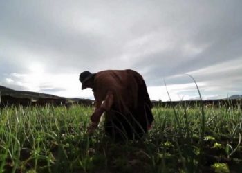 Día de la mujer rural: habitar todos los territorios