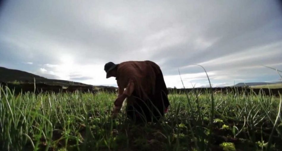 Día de la mujer rural: habitar todos los territorios