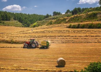 El Pleno del Senado debatirá el miércoles la Proposición de Ley de Compromís para multiplicar por 100 internet en el ámbito rural