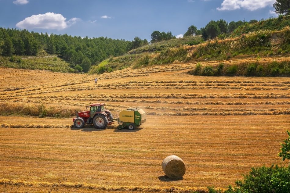 El Pleno del Senado debatirá el miércoles la Proposición de Ley de Compromís para multiplicar por 100 internet en el ámbito rural