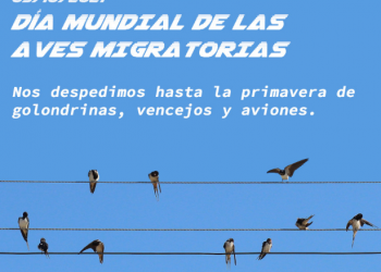 Ecologistas en Acción celebra el Día Mundial de las Aves Migratorias