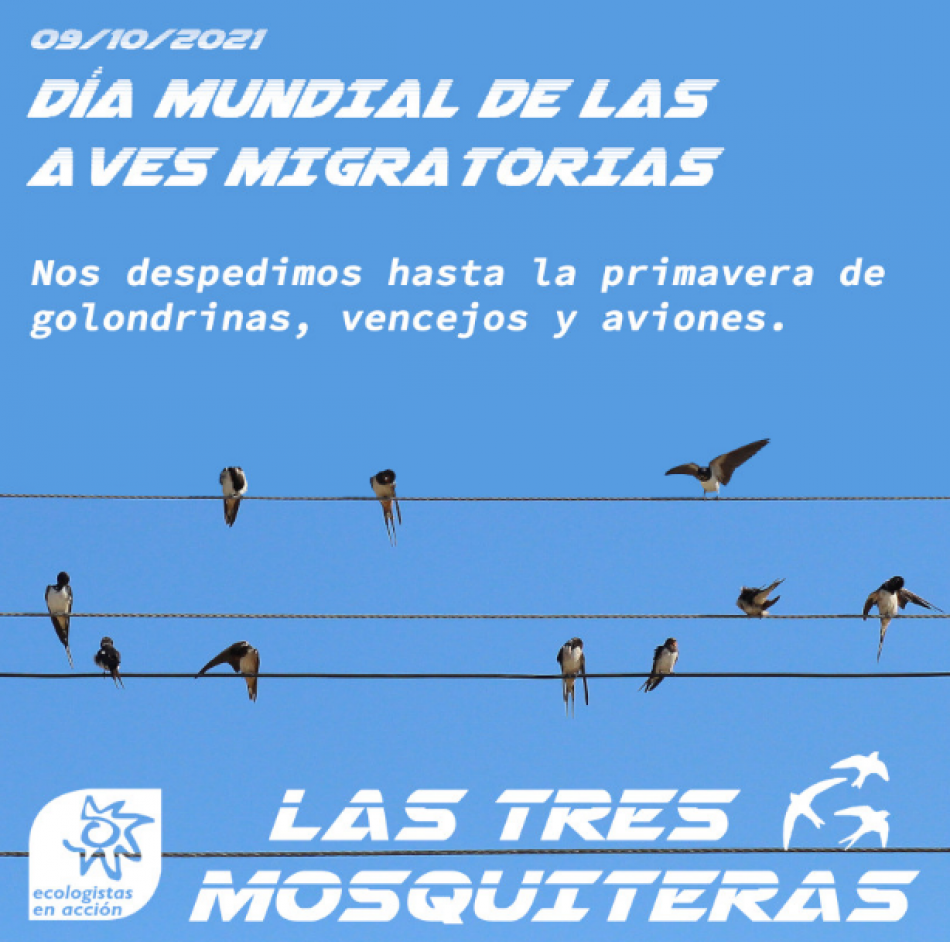 Ecologistas en Acción celebra el Día Mundial de las Aves Migratorias