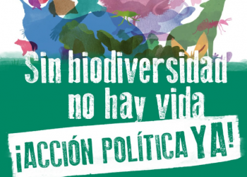 COP15: las decisiones que se tomen en la Cumbre Mundial de Diversidad Biológica determinarán el futuro de la especie humana