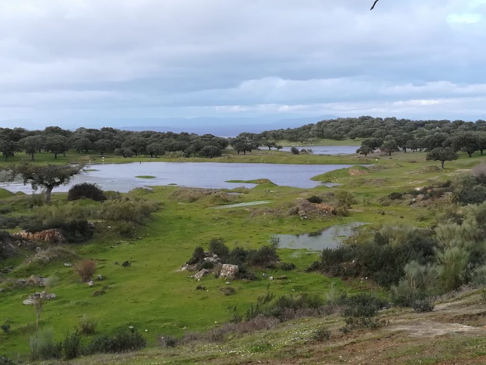 Colectivos extremeños estarán presentes en la Cumbre Hispano Lusa de Trujillo en rechazo al oligopolio energético en Extremadura