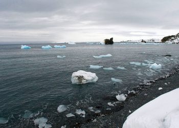 30 países adoptan la Declaración de Madrid para avanzar en la designación de nuevas áreas marinas protegidas en la Antártida