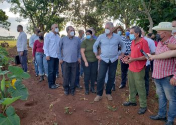 Díaz-Canel insta a generalizar experiencias frente a cambio climático