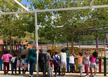 Asociación Vecinal de Carabanchel Alto y las AMPA del barrio piden soluciones ante la proliferación de conejos en el barrio