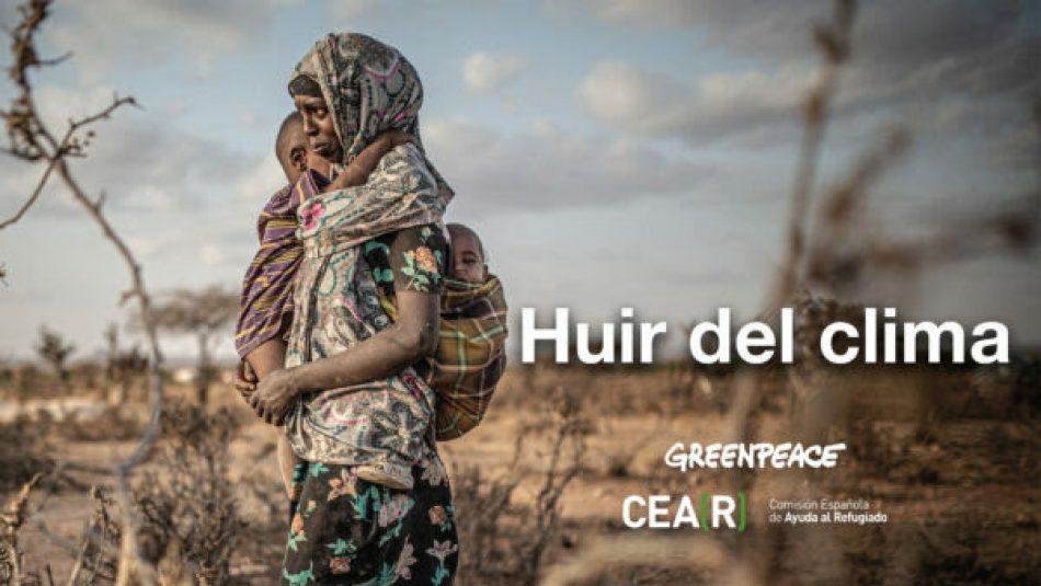 CEAR y Greenpeace alertan de que la crisis climática forzará a huir cada vez a más personas