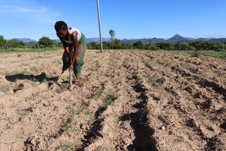 La campaña mundial ‘Earth Walk’ de Alianza-ActionAid exige justicia climática con los países más vulnerables