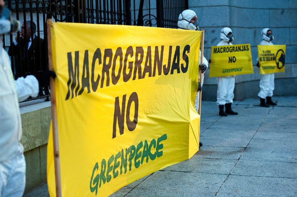 Greenpeace entrega más de 237.000 firmas ciudadanas contra las macrogranjas en el Ministerio para la Transición Ecológica