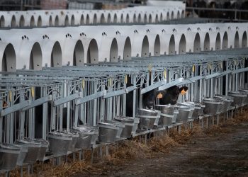 La contaminación del agua por nitratos ha aumentado más del 50% en solo cuatro años