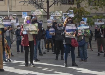 PACMA concentra a decenas de personas ante el ayuntamiento de Madrid para exigir el fin de la matanza de cotorras