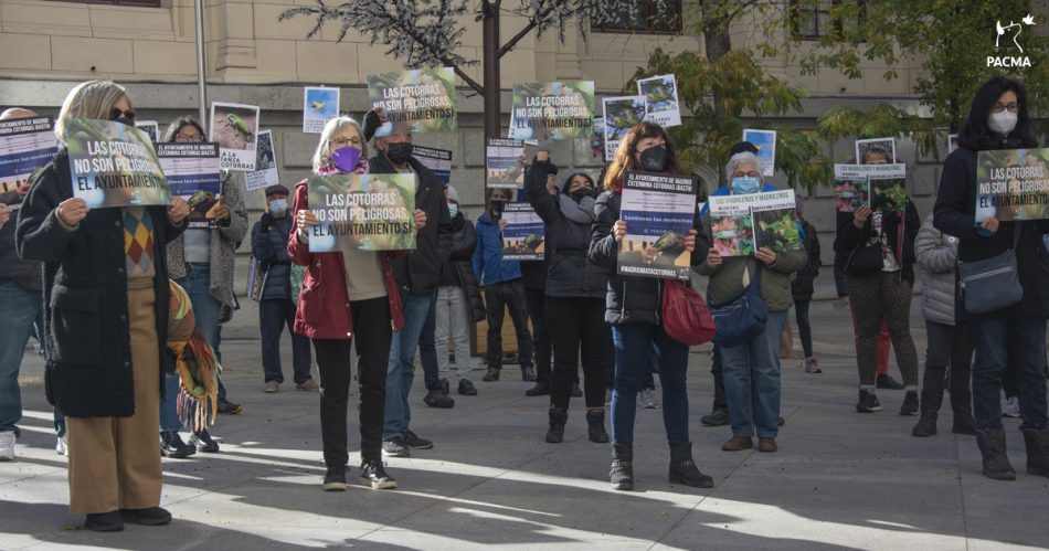 PACMA concentra a decenas de personas ante el ayuntamiento de Madrid para exigir el fin de la matanza de cotorras