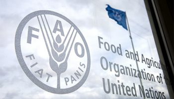 FAO impulsa iniciativas de cooperación agroalimentaria en región SICA