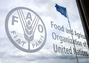 FAO pondera patrimonio agrícola mundial en sistemas agroalimentarios