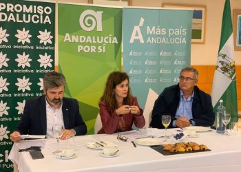 Más País denuncia la “propaganda anti constitucional de la ultraderecha en la que se apoya el PP”
