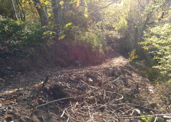 Nos preocupa la pista al Corralin por sus impactos ambientales