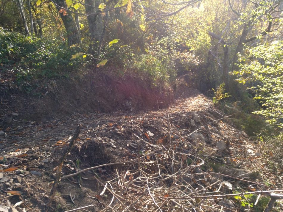 Nos preocupa la pista al Corralin por sus impactos ambientales