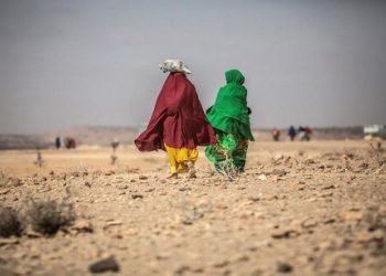 ONU alerta sobre 5.9 millones de personas vulnerables en Somalia
