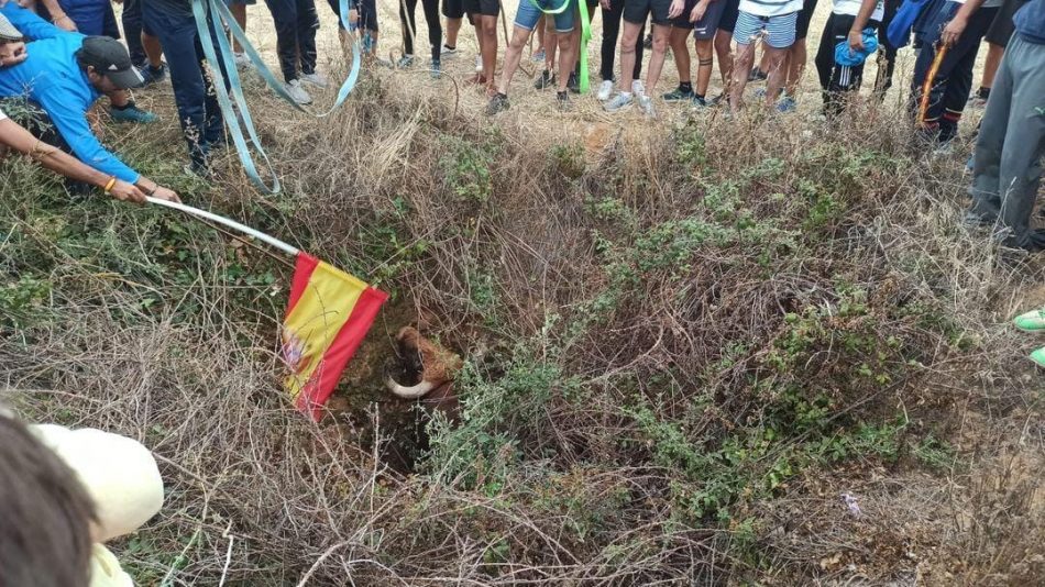 Guadalajara Antitaurina denuncia un encierro motorizado en Torija