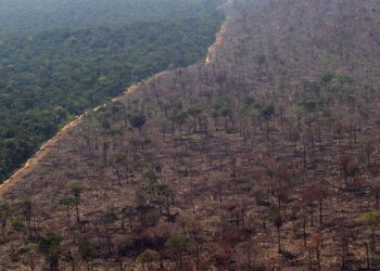 El 74% de las emisiones en Brasil proviene de la deforestación ocasionada por la agroindustria y agravada por los tratados de comercio 