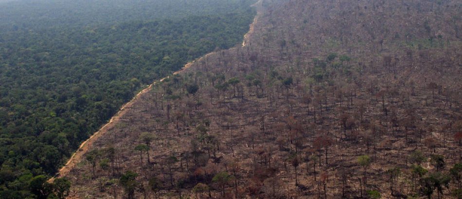 El 74% de las emisiones en Brasil proviene de la deforestación ocasionada por la agroindustria y agravada por los tratados de comercio 