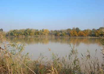 La Mesa Social del Agua de Andalucía pide una revisión del marco de los sectores ganadero y agrario para avanzar a modelos más sostenibles