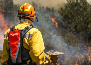 Solicitan a la Ministra Teresa Ribera que se tramite cuanto antes la ley del Estatuto Básico de los Bomberos Forestales