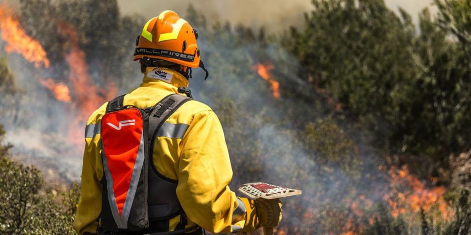 Solicitan a la Ministra Teresa Ribera que se tramite cuanto antes la ley del Estatuto Básico de los Bomberos Forestales 