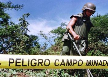 Semillas contaminadas: las nuevas minas antipersonas del “agroterrorismo”