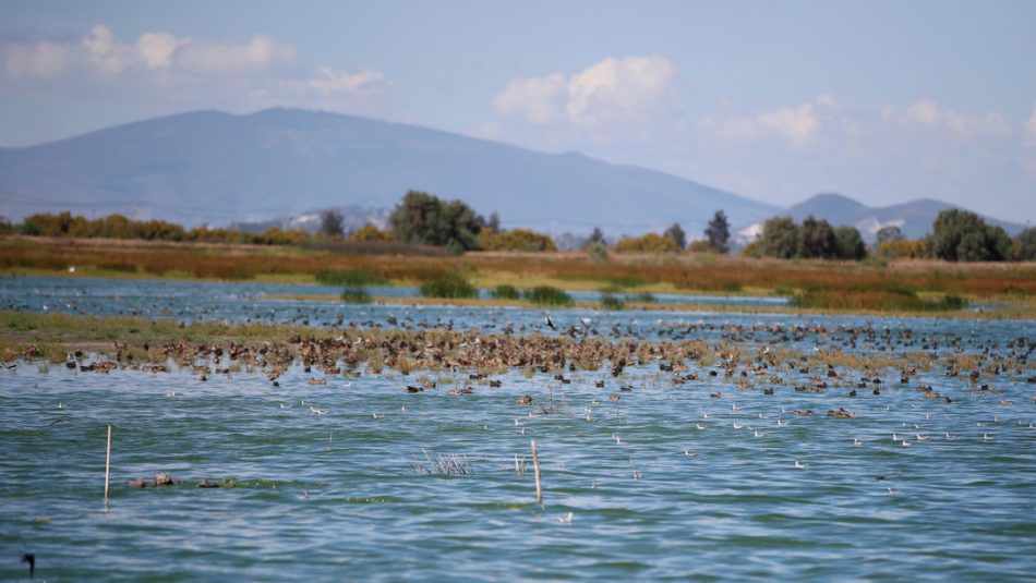 López Obrador anuncia una consulta para declarar el lago de Texcoco área natural protegida