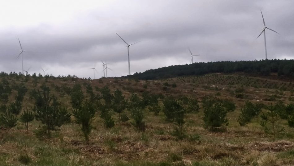 O BNG pide a Bay Wa que desista do seu proxecto eólico en Celanova e Verea