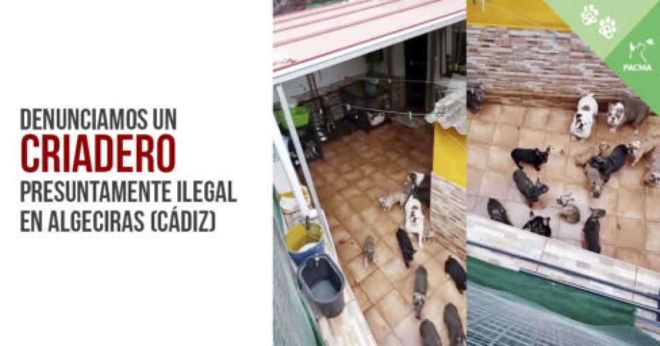 PACMA denuncia un criadero ilegal en Algeciras (Cádiz)